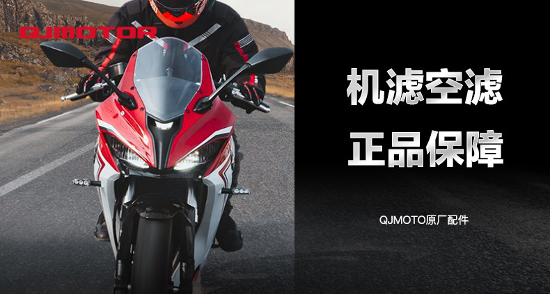 Qianjiang Motorcycle Race R250 Single Cylinder Oil Filter Element Machine Filter Air Filter Original Factory
