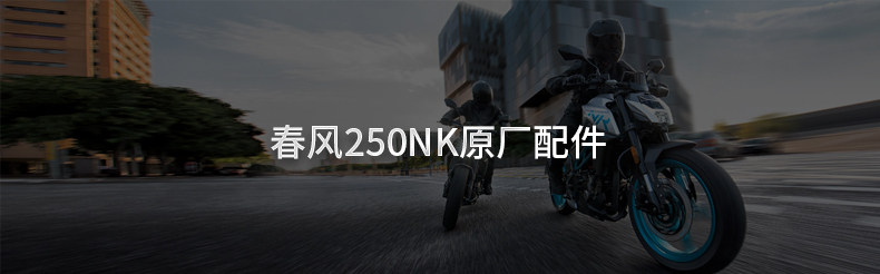 Motorcycle Original Parts 250Nk Footrest Combination Cf250-A Foot Pedals Front and Rear Left and Right Footrests