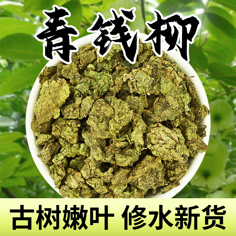 Authentic Qingqianliu (Money Willow) Young Leaf Tea from Xiushui, Jiangxi - Granular Tea Made from Whole Qingqianliu Leaves Authentic Qingqianliu (Money Willow) Young Leaf Tea from Xiushui, Jiangxi - Granular Tea Made from Whole Qingqianliu Leaves
