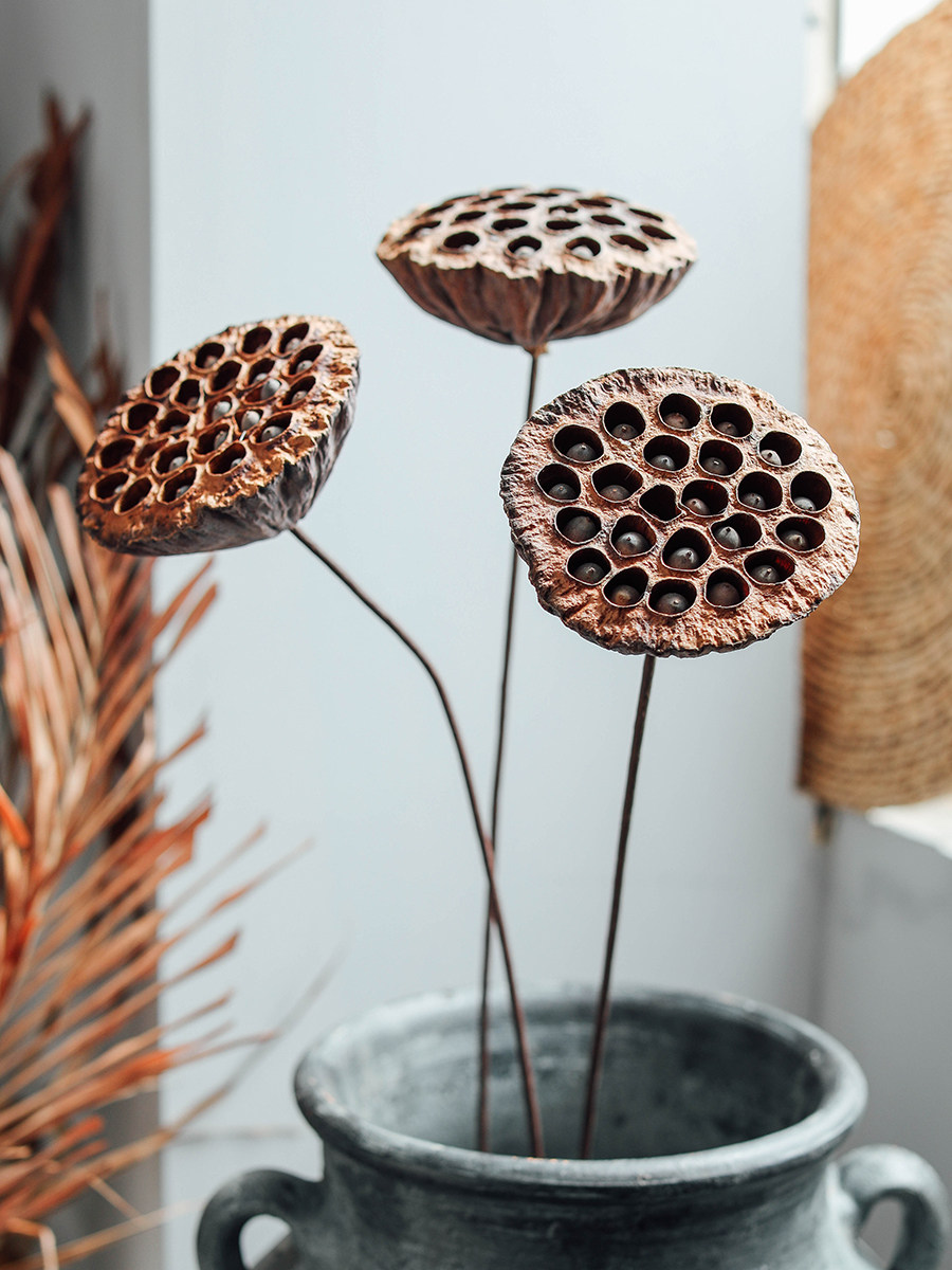 Muzhi wood straight dry lotus natural dried flower Zen soft decoration tea house homestay decoration flower arrangement for Buddha lotus root