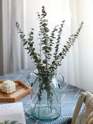 Eugalia leaf dry flower very simple air flower arrangement living room home Nordic decoration ins Wind art creative diy dry flower