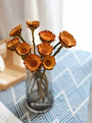 Imported African Nordic natural dry flowers real flowers wedding home decorations living room decoration photography props sunflower