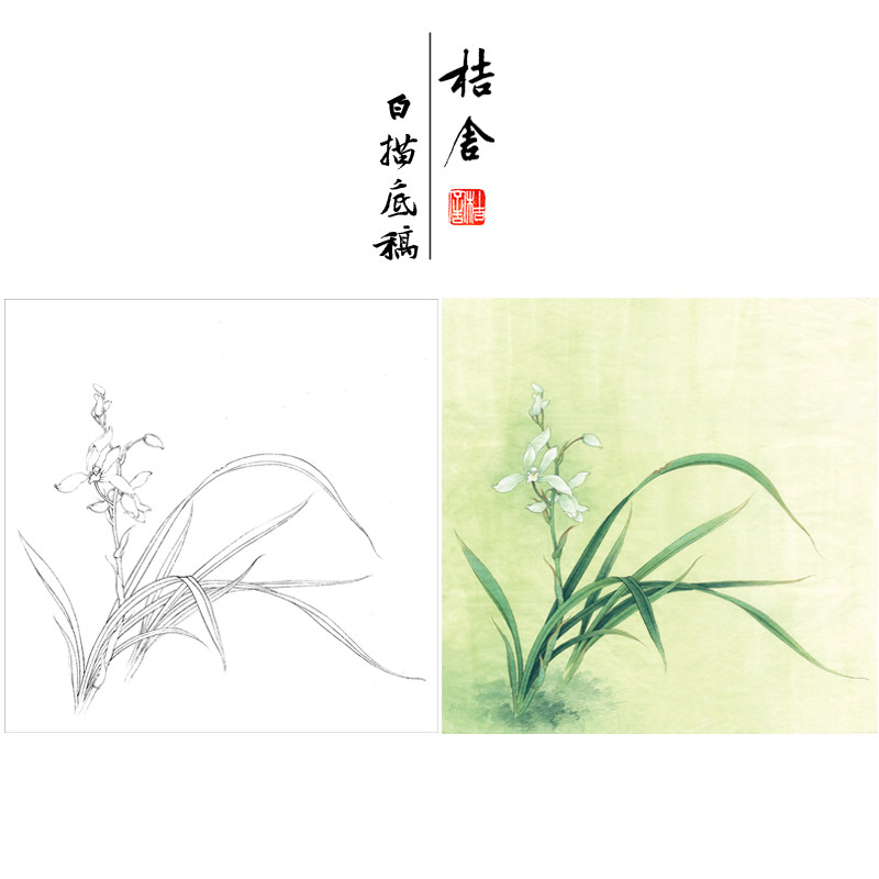 (step by step) Li Xiaoming's work stroke white sketch manuscript of orchid small tassel original work size 43 x 43 cm flower bird line draft with A3 step diagram and painting manuscript with color note country KB20