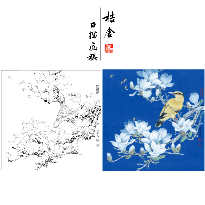 (Steps) Li Xiaoming brush painting white depiction base Yulan Huang Cai Small original size 43*43 cm flower bird line with A3 step diagram and color to copy the painting draft KB25