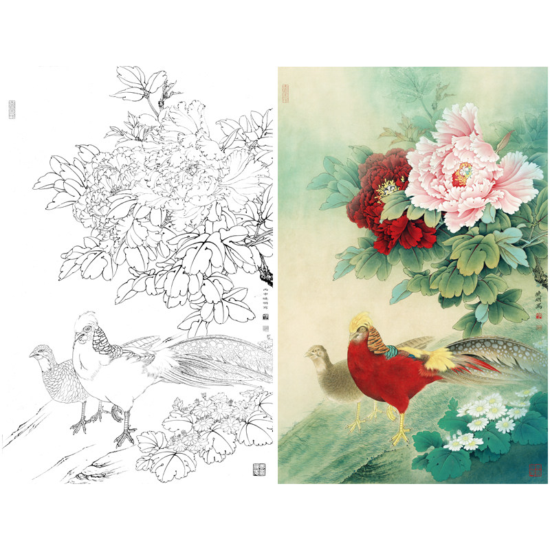 (Steps) Li Xiaoming brush painting white depiction paste Peony Kokchi original size 55*85 cm flower bird line draft with A3 step diagram and color description of the country painting painting draft KD23
