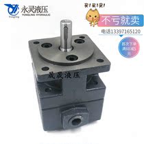 Zhejiang YL Yongling vane pump YB1-40 YB1-50 YB1-63 YB1-80 YB1-100 YB1-125