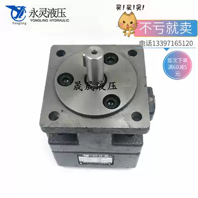 Xianju Yongling vane pump YB1-100 80 63 50 40 80 63 50 40 32YLC hydraulic pump
