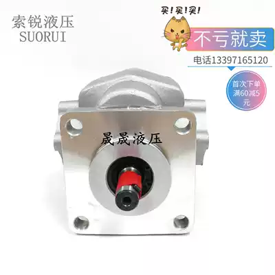 suo rui gear pump HGP-2A-F8R HGP-2A-F9R HGP-2A-F10R HGP-2A-F11R 12R