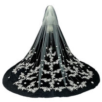 Brides main wedding dress super fairy lace veil wedding veil long tail photo veil
