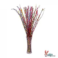 Розово-красная серебряная ива 10 шт./галстук