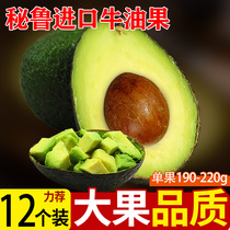 Peruvian Avocado Big Mac Big Fruit Food Supplement Imported Seasonal Fresh Fruit in Stock Quickly Delivered Soft and Silky