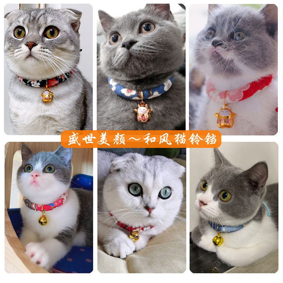 Remove flea ring cat collar bell dog cute cat neck neck neck neck neck neck neck neck necklace for pet supplies