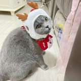 Рождественская шапка, слюнявчик, милый зимний шарф, наряжаться