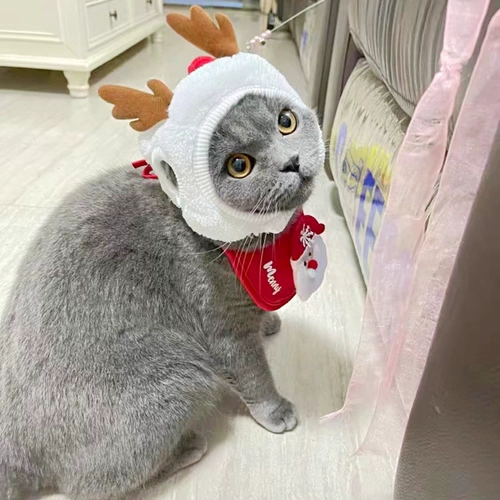 Рождественская шапка, слюнявчик, милый зимний шарф, наряжаться