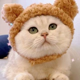 Шляпа для домашних животных милая новогодняя плюшевая кошачь