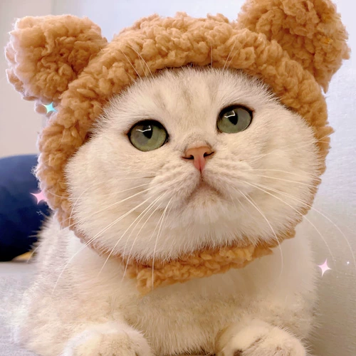 Шляпа для домашних животных милая новогодняя плюшевая кошачь