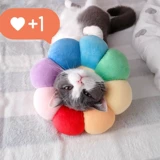 Подсолнечный кот Элизабет собака голова мягкая ткань человеческое кольцо бассейн Rannovies Подсолнечник Большой большой катал укус кошка мох