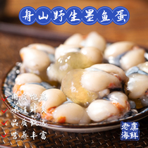 (Lao Yujia) Wild cuttlefish eggs Ningbo Zhoushan specialty large white eggs marinated seafood