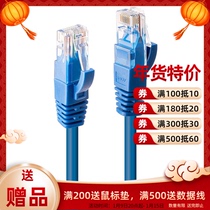 Germany LINDY industrial grade Cat 6 U UTP High Speed Class 6 pure copper network cable indoor finished Gigabit jumper