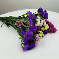 Не забывайте случайный цвет 10