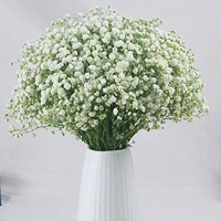 Белый полный звездный луч (исключая бутылку)