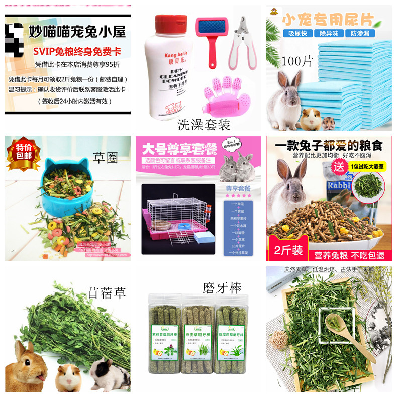 Pet Rabbit Live Dwarf Rabbit Coeared Rabbit Small Pet New Hand Overvalued Package West Schrabbit Small Pets