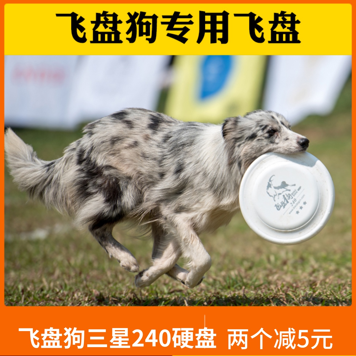 Flying disc dog special flying disc Samsung 240mm hard flying saucer professional competition class side pastoral training Intermediate resistant toys-Taobao