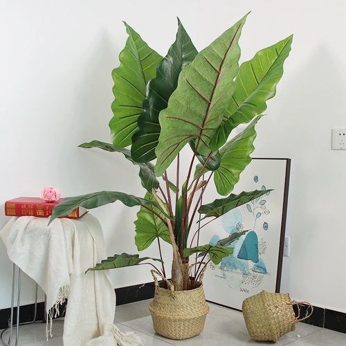 Северные симуляционные растения Санджифлауэр Пластиковые пластиковые крупные зеленые растения.