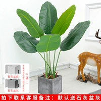 1 метр красивый банан, чтобы отправить ясен