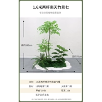 1,6 метра двух выстрелов Nan Tianzhong Seven