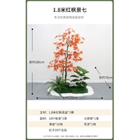 1,8 метра красного кленового просмотра семь