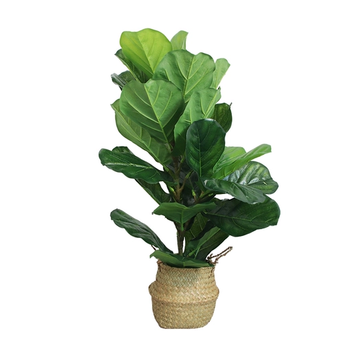 Северные симуляционные растения Санджифлауэр Пластиковые пластиковые крупные зеленые растения.