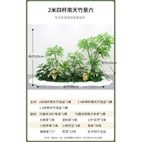 2 метра и четыре выстрела, South Tianzhujing Six