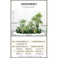 2 метра и четырехпел зеленый кленовый пейзаж шесть