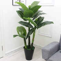 1,5 метра трех выстрелов вместе [Специальная модель]+горшок+трава