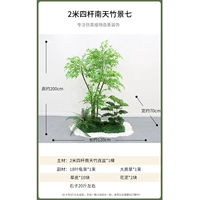 2 метра и четыре выстрела, South Sky Bamboom View Seven