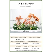 1,6 метра трех снимков красного кленового пейзажа шесть