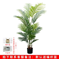 1,4 метра наложницы Kwai Lianxian+корзина