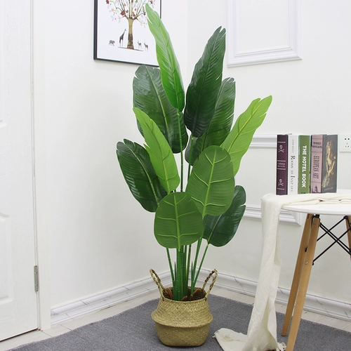 Северные симуляционные растения Санджифлауэр Пластиковые пластиковые крупные зеленые растения.