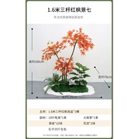 1,6 метра трех выстрелов красного кленового вида семь