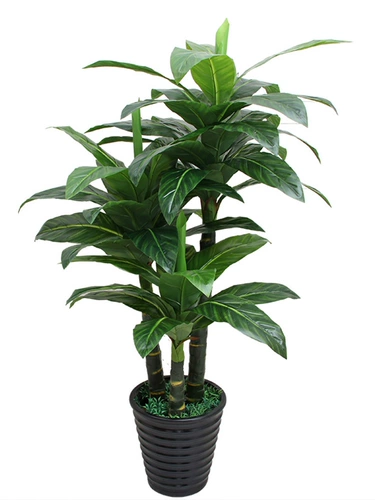 Моделирование зеленое растение горшечное размещение