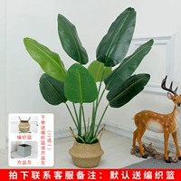 1,2 метра красивых путешественников банановые таз+корзина