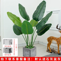 1,2 метра красивых путешественников, чтобы отправить ясен