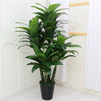 2 метра четыре чемпиона+горшки+трава