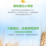 Томсон Бейинджян пищевой пищевой порошок усиливает соевые бобы для растений иммунитета, пожилые женщины беременных женщин и детей 600G