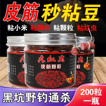 Rubber band second sticky bean slip mouth Ma Tuan particles wild fishing crucian carp carp set black pit return pot fish pot fish old fish bait material