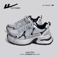 Серое серебро и черное [обычное издание]