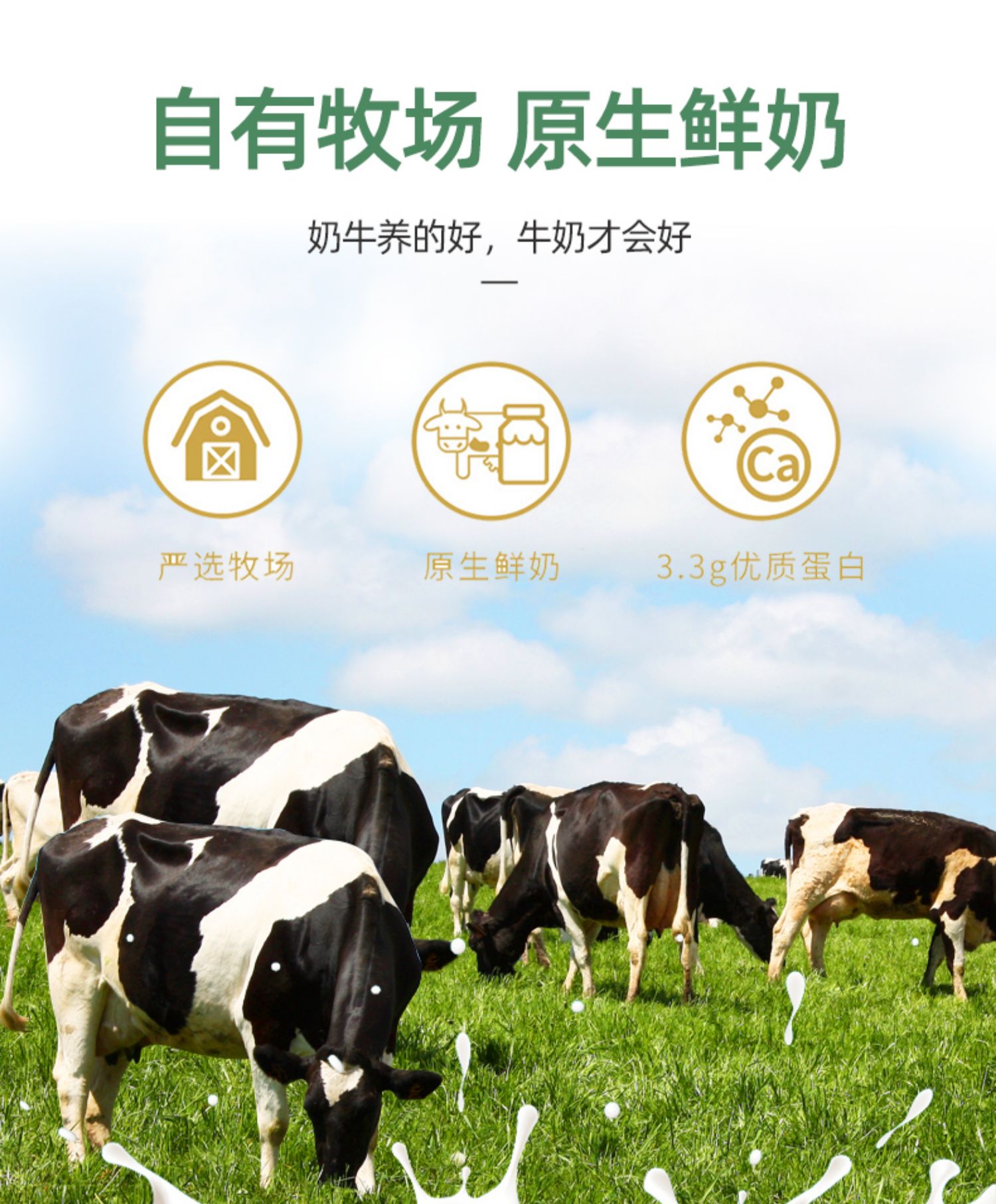 牛奶250ml每盒营养早餐奶补钙
