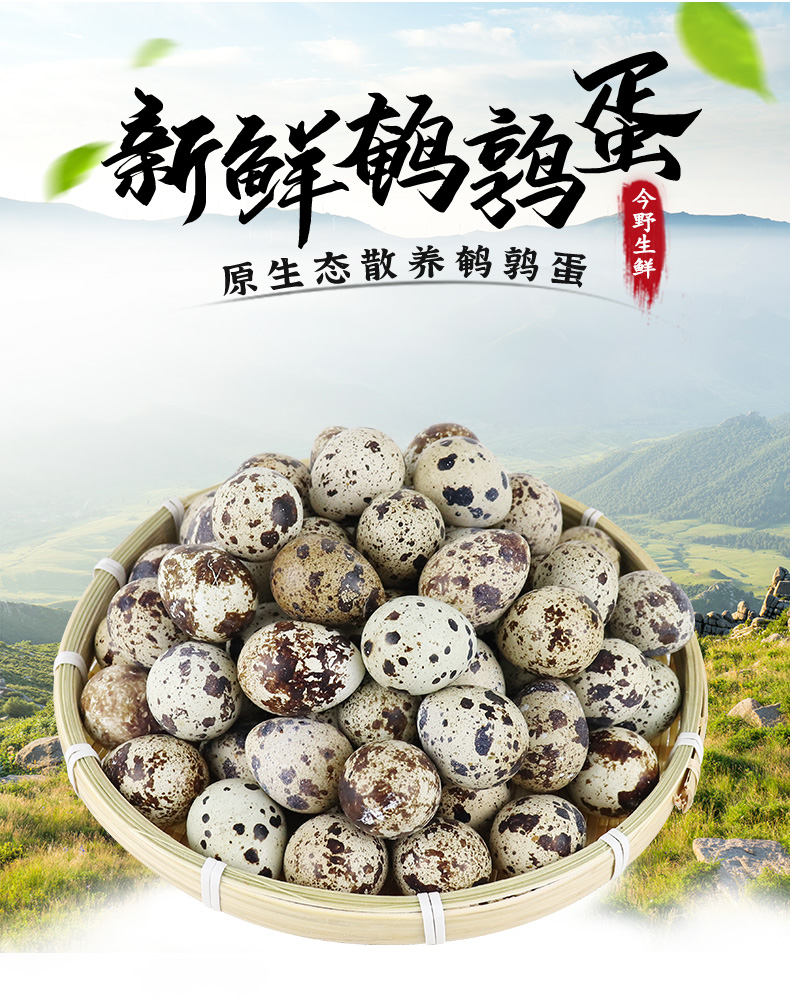 金野 新鲜鹌鹑蛋 108个共1125g 天猫优惠券折后¥28.9包邮(¥29.9-1) 金野 新鲜鹌鹑蛋 108个共1125g 天猫优惠券折后¥28.9包邮(¥29.9-1)