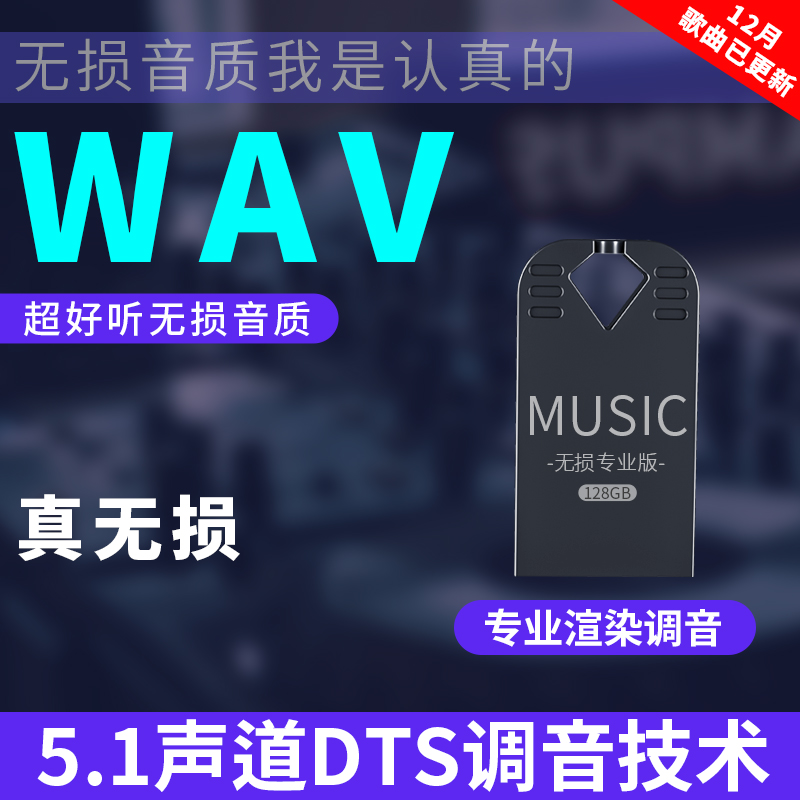 High quality true lossless car U disk high sound quality car 2020 new song wav vibrato song music USB stick DJ song
